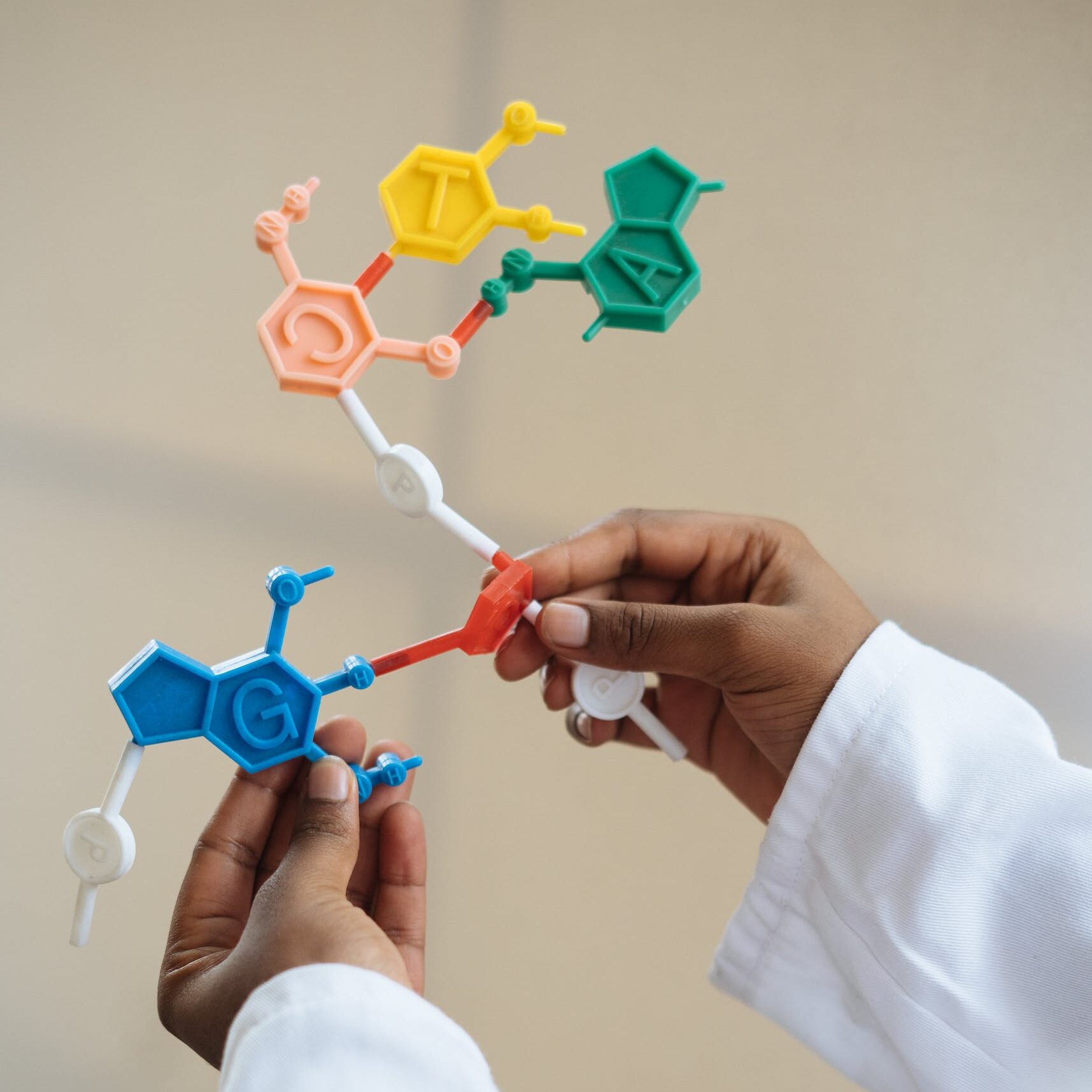 Crop chemist holding in hands molecule model
